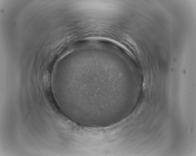 X0000088400029200705221134