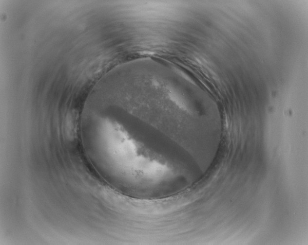 X0000088400030200705221134