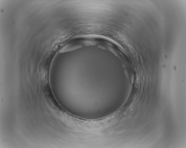 X0000088400031200705221134