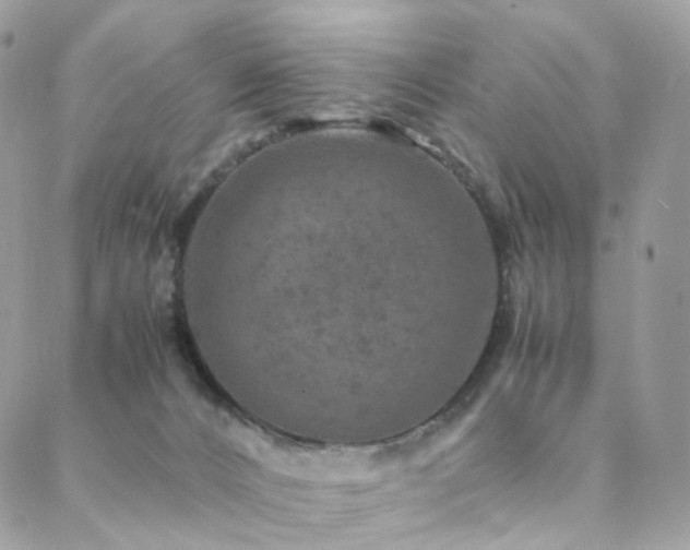 X0000088400032200705221134