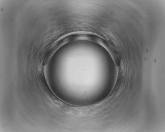 X0000088400033200705221134