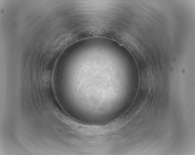 X0000088400034200705221134