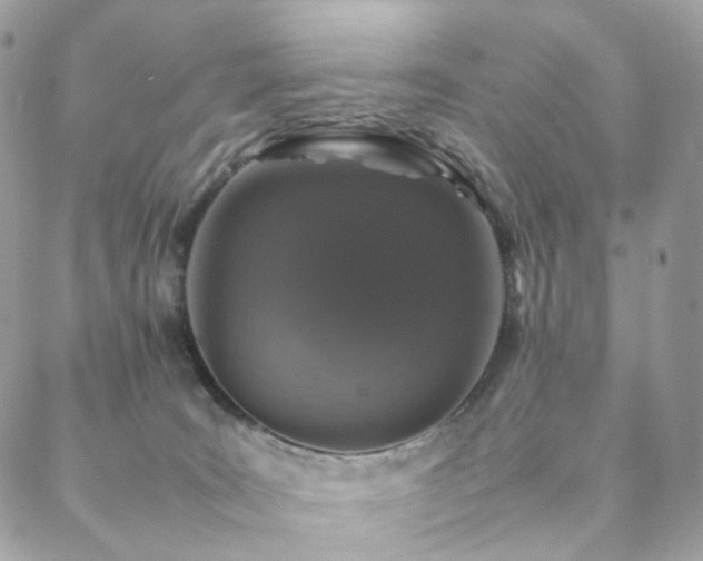 X0000088400035200705221134