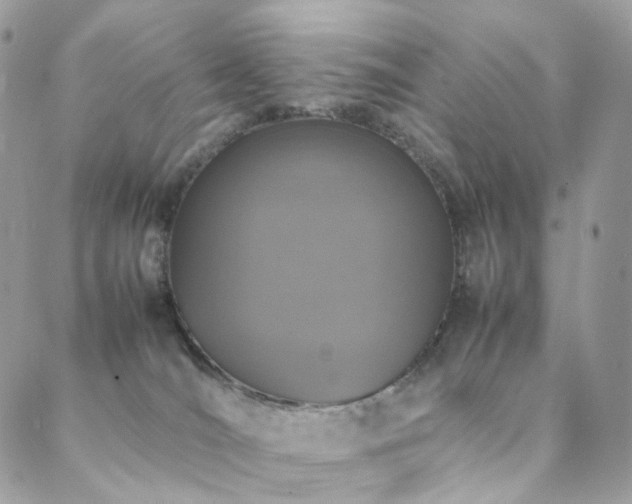 X0000088400036200705221134