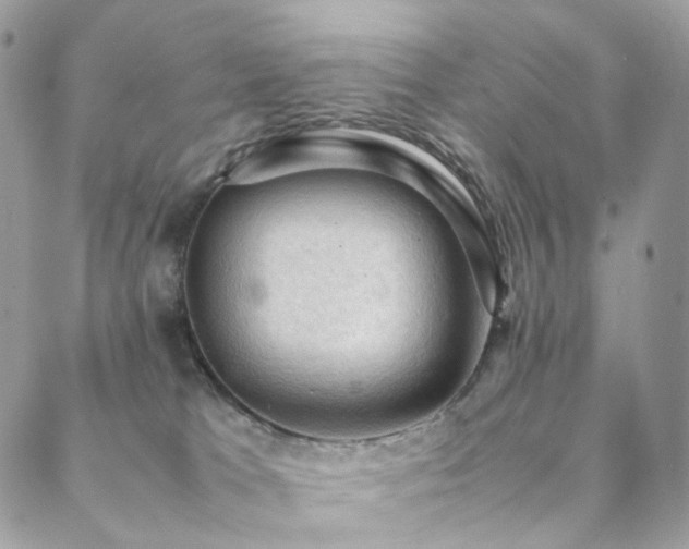 X0000088400037200705221134