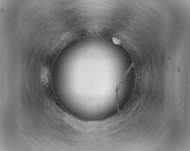 X0000088400038200705221134