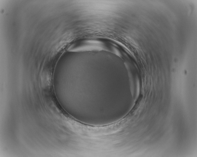 X0000088400039200705221134