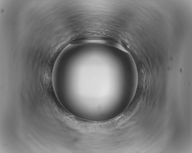 X0000088400040200705221134