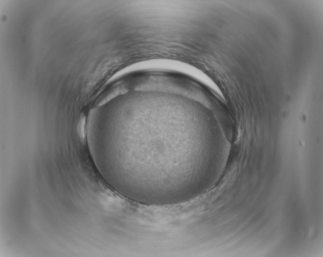 X0000088400041200705221134