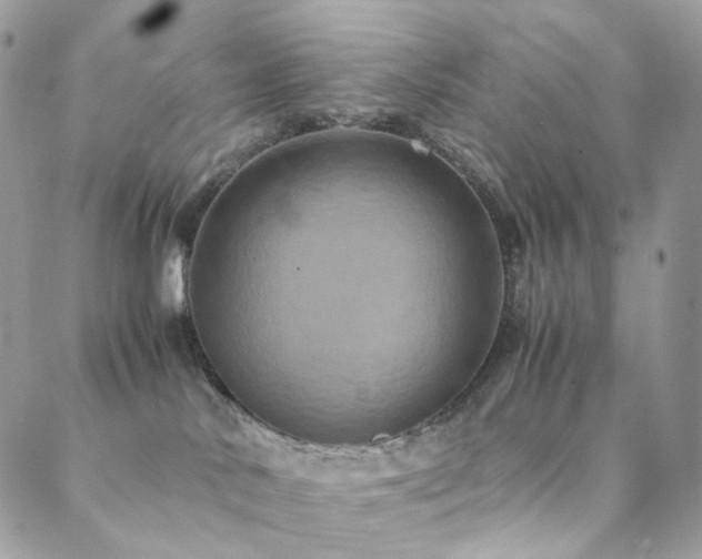 X0000088400042200705221134