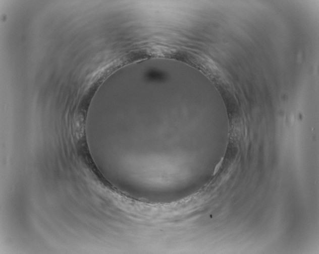 X0000088400043200705221134