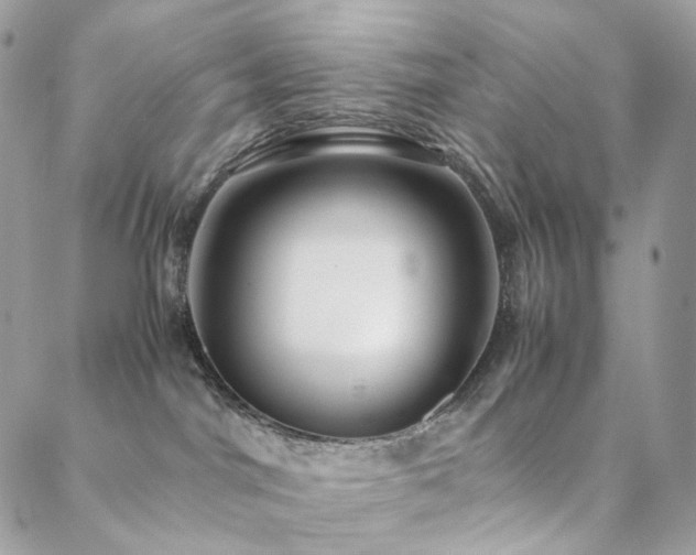 X0000088400044200705221134