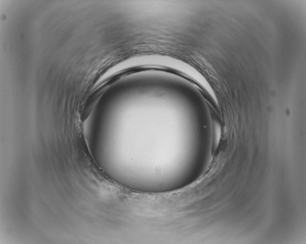 X0000088400045200705221134