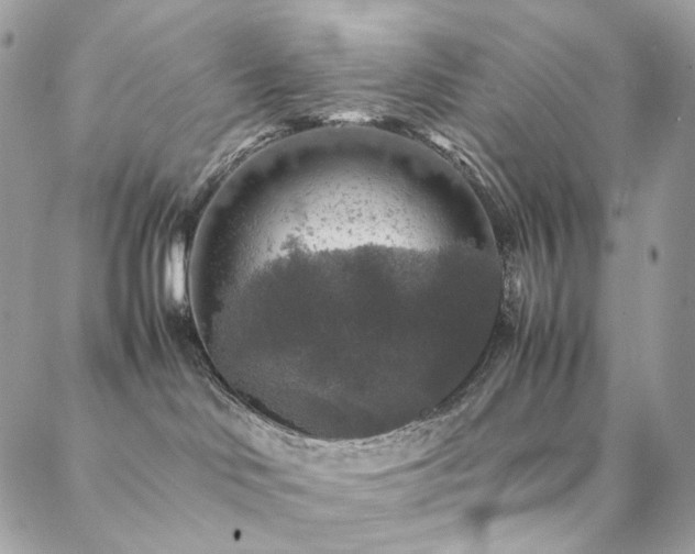 X0000088400046200705221134