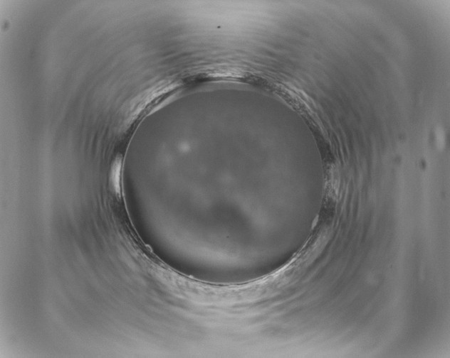 X0000088400047200705221134