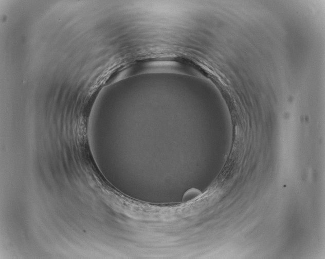 X0000088400048200705221134