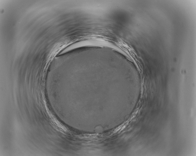 X0000088400049200705221133