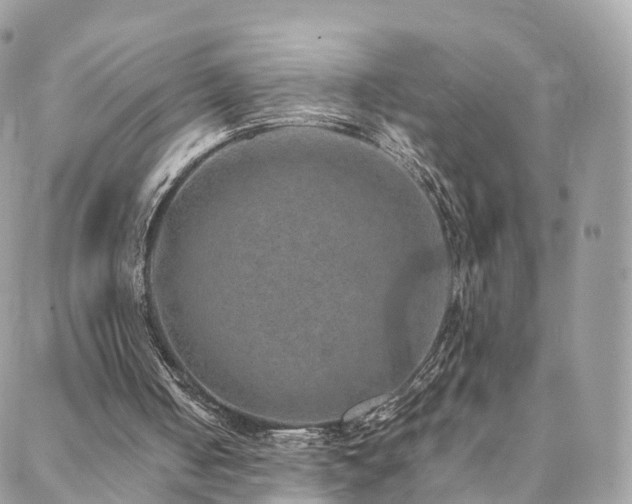 X0000088400050200705221133