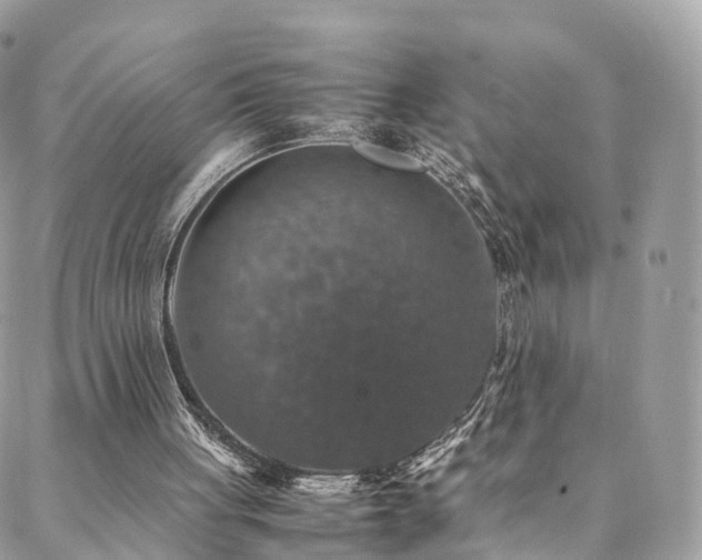 X0000088400051200705221133