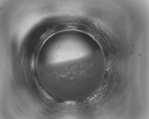 X0000088400052200705221133