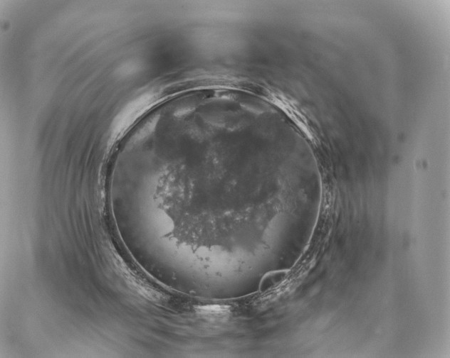 X0000088400053200705221133