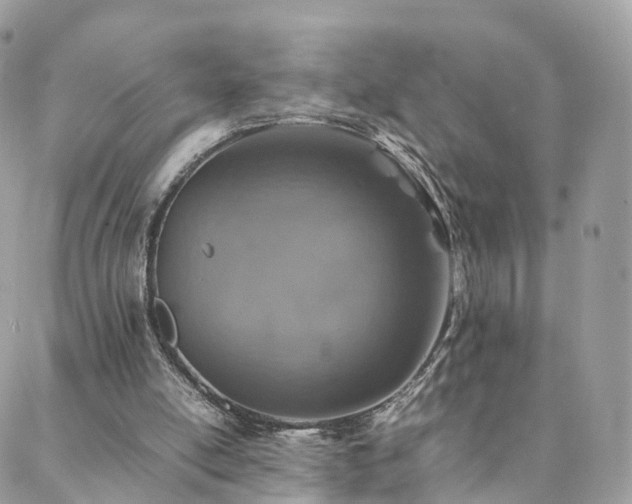 X0000088400054200705221133