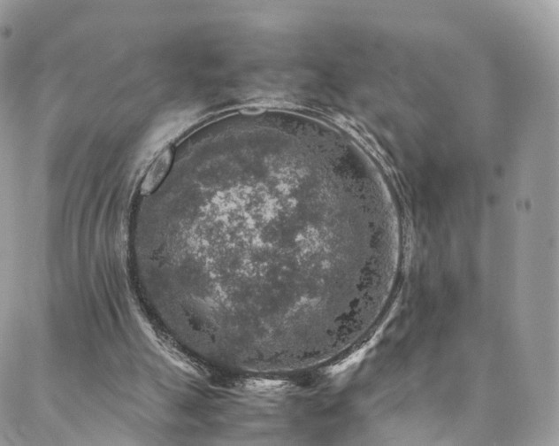 X0000088400055200705221133