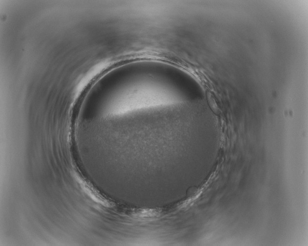 X0000088400056200705221133