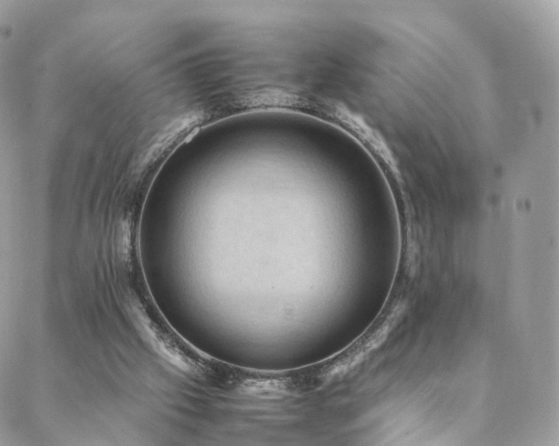 X0000088400057200705221133