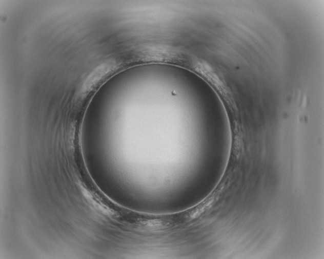 X0000088400058200705221133