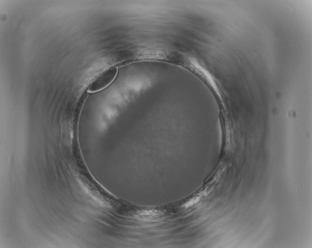 X0000088400059200705221133