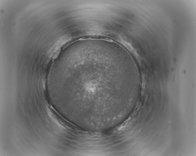 X0000088400060200705221133