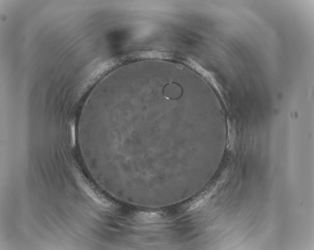 X0000088400061200705221133