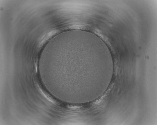 X0000088400062200705221133