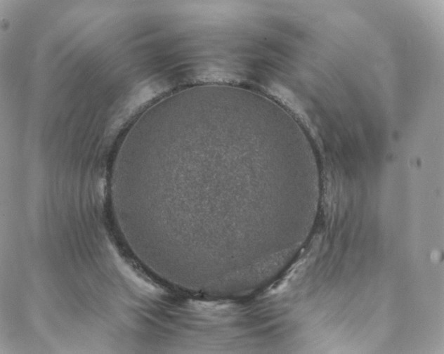 X0000088400063200705221133