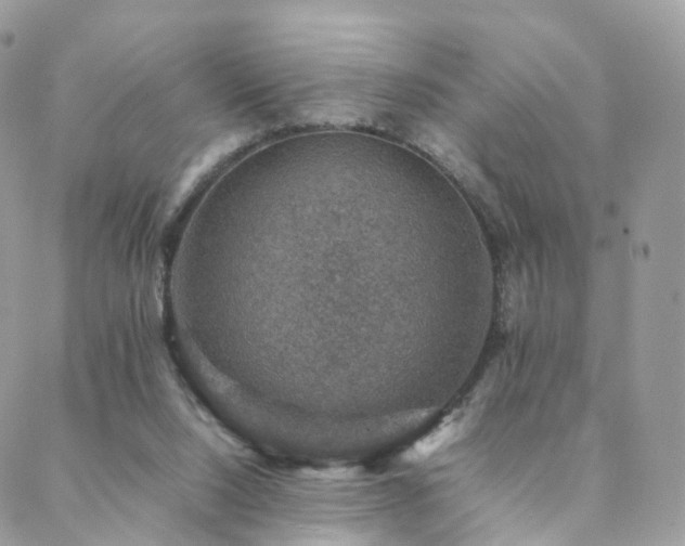 X0000088400064200705221133