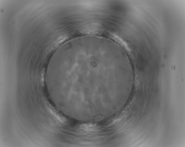 X0000088400065200705221133