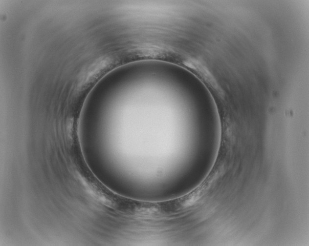 X0000088400066200705221133