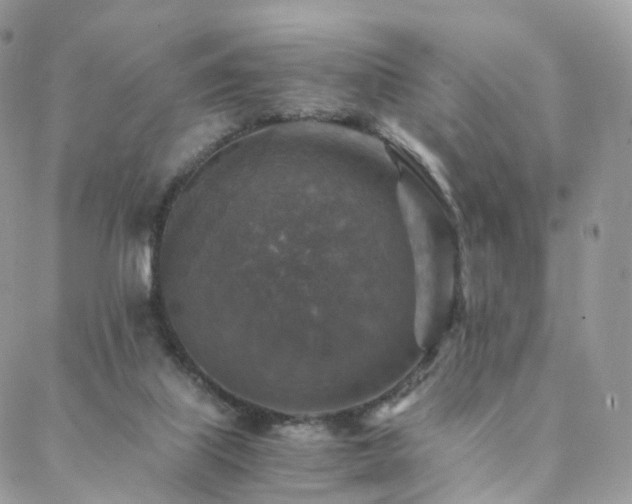 X0000088400067200705221133