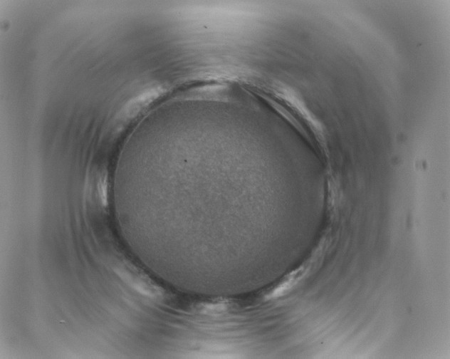 X0000088400068200705221133