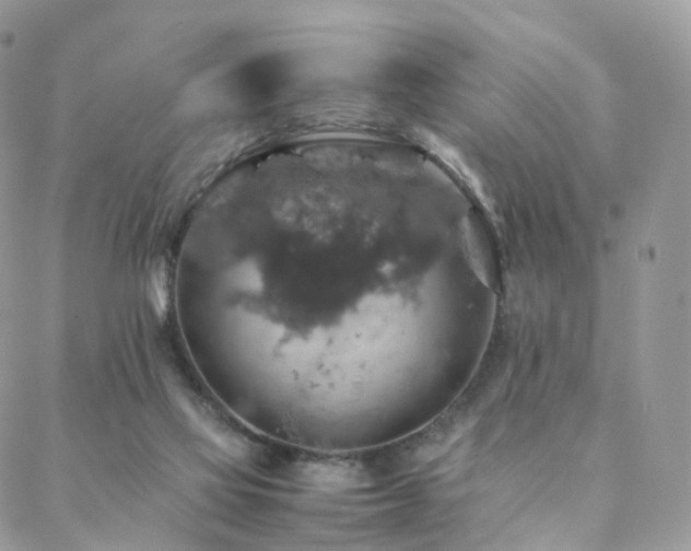 X0000088400069200705221133