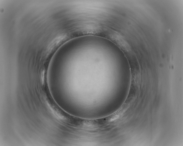 X0000088400070200705221133