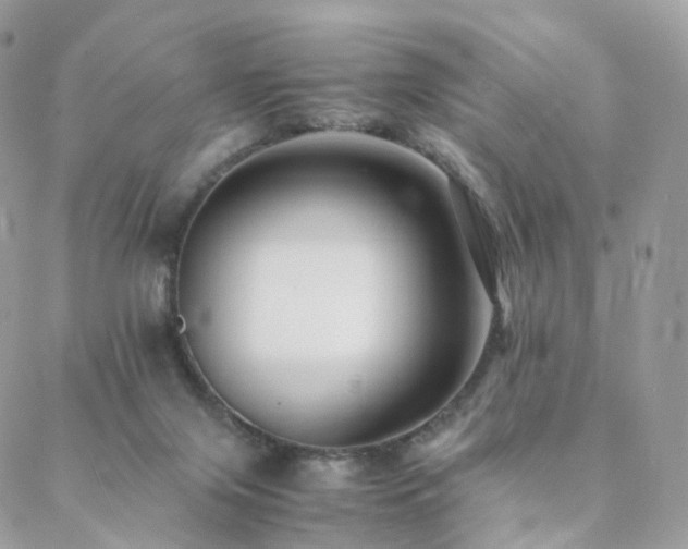 X0000088400071200705221133