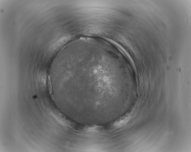 X0000088400072200705221133