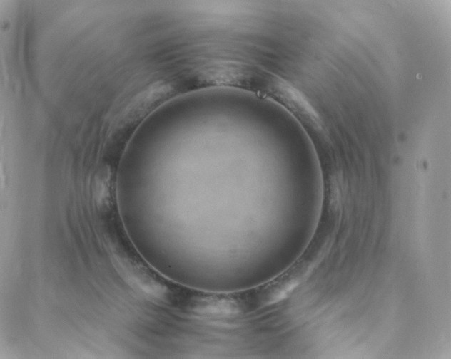 X0000088400073200705221133