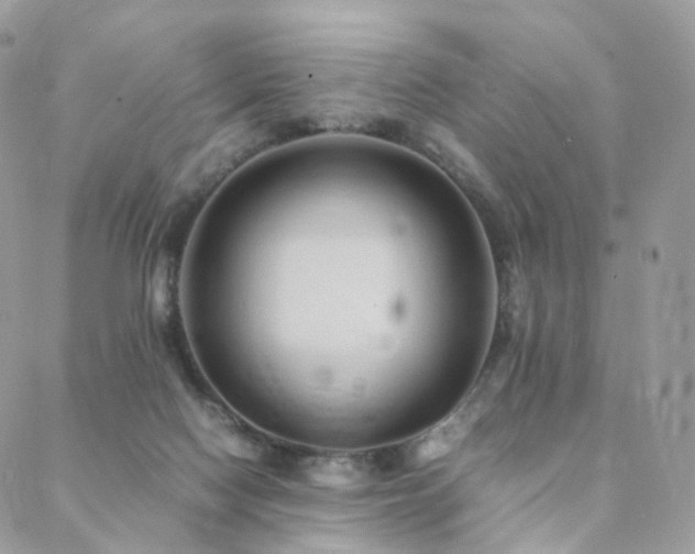 X0000088400074200705221133