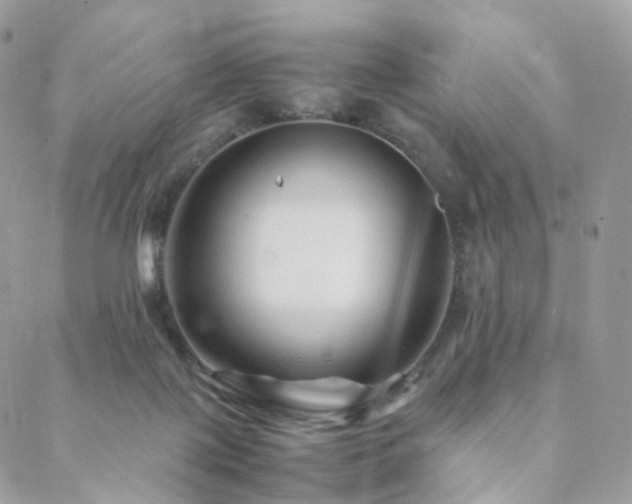 X0000088400075200705221133