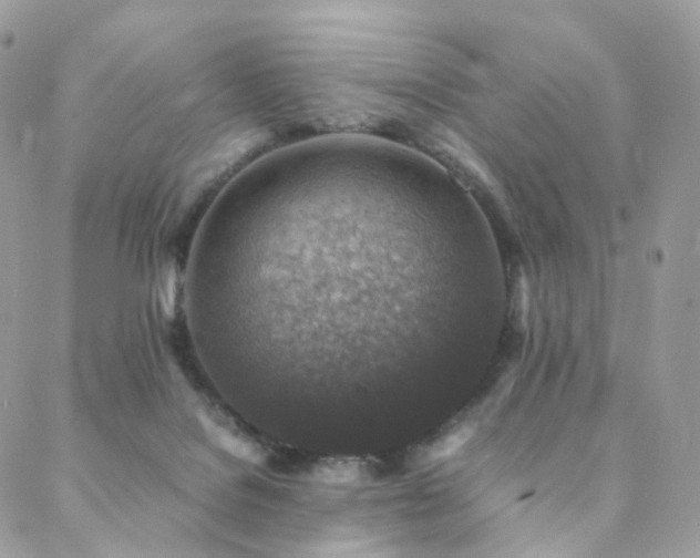 X0000088400076200705221133