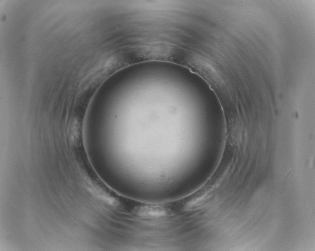 X0000088400077200705221133