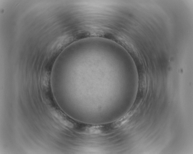 X0000088400078200705221133